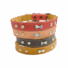 Collar Para Mascota