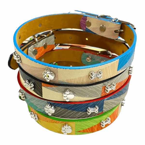 Collar Para Mascota