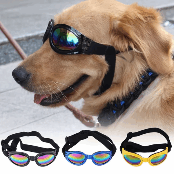 Gafas Para Mascota De Lentes Tintados