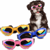 Gafas Para Mascota De Lentes Tintados