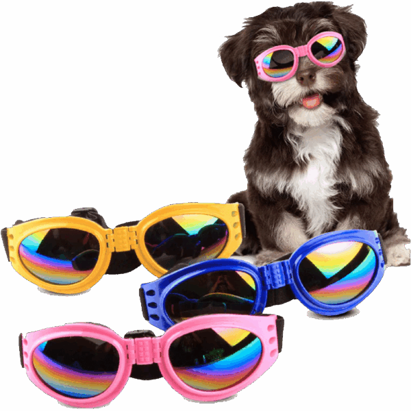 Gafas Para Mascota De Lentes Tintados