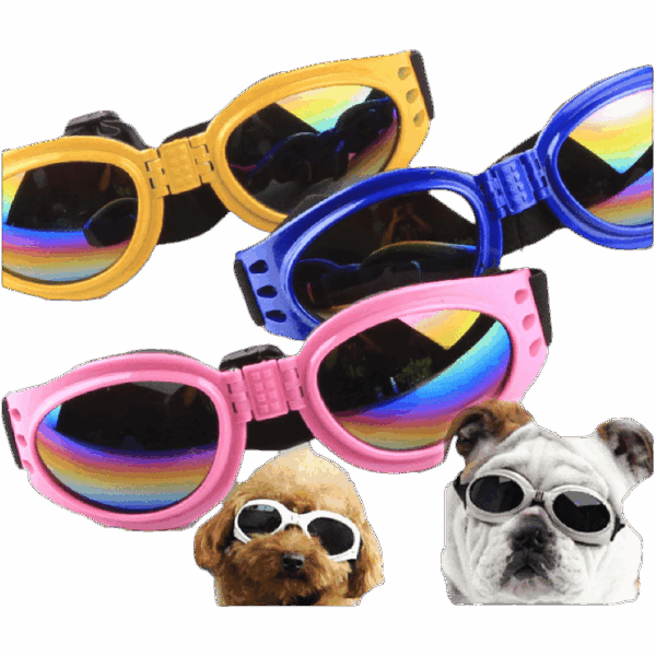 Gafas Para Mascota De Lentes Tintados