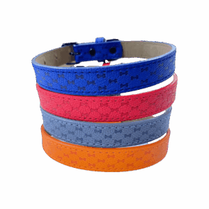 Collar Para Mascota