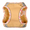 Pechera Con Correa Para Mascota
