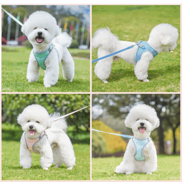 Pechera Con Correa Para Mascota