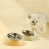 Tazon Para Mascota