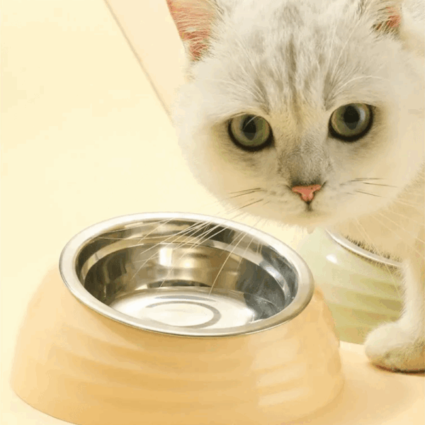 Tazon Para Mascota