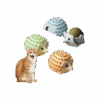 Catnip Para Mascota