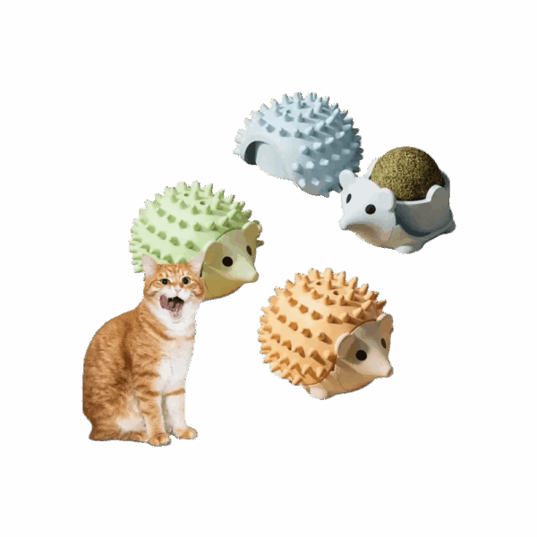 Catnip Para Mascota