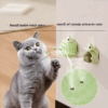 Catnip Para Mascota
