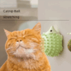 Catnip Para Mascota