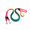 Correa Para Mascota Multi color