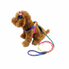 Correa Para Mascota Multi color