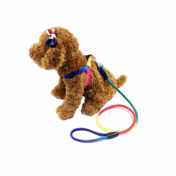 Correa Para Mascota Multi color
