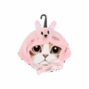 Gorro Para Gato