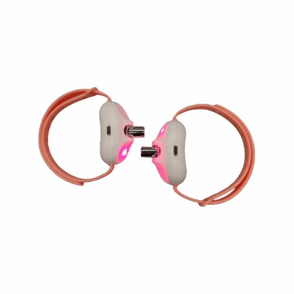 Juguete Laser Para Mascota