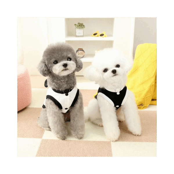 Suéter osito para mascota