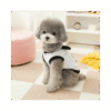 Suéter osito para mascota