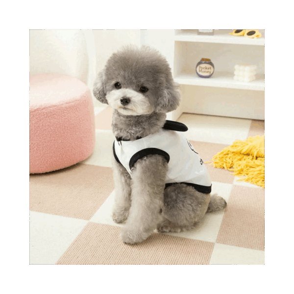 Suéter osito para mascota