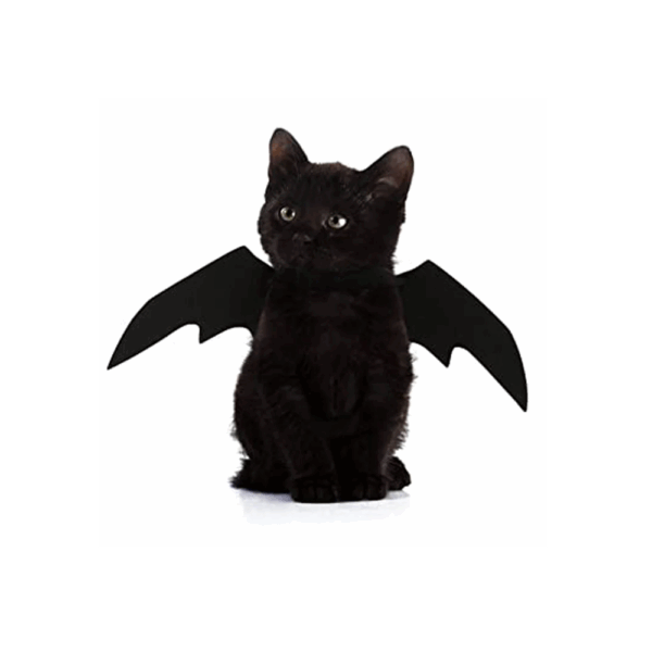 Alas de murciélago Para Mascota