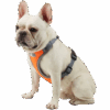 Pechera Para Mascota