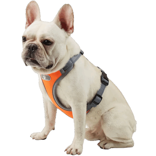 Pechera Para Mascota