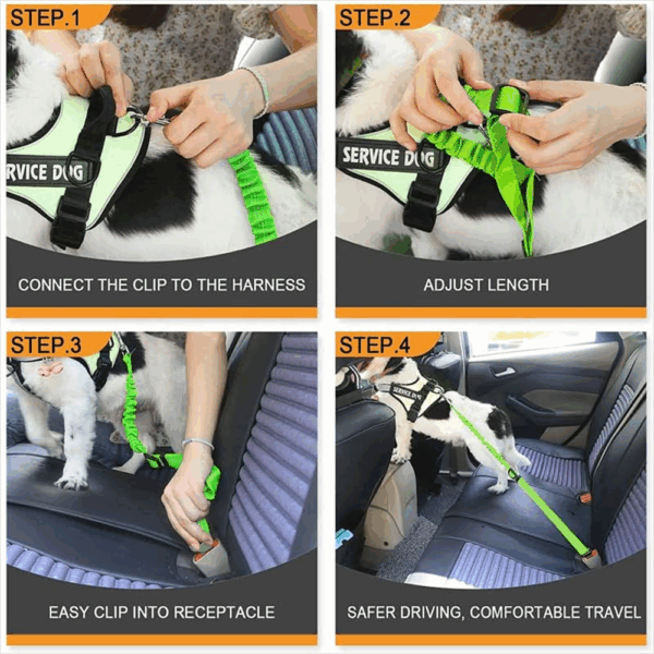 Cinturón De Seguridad Para Mascota