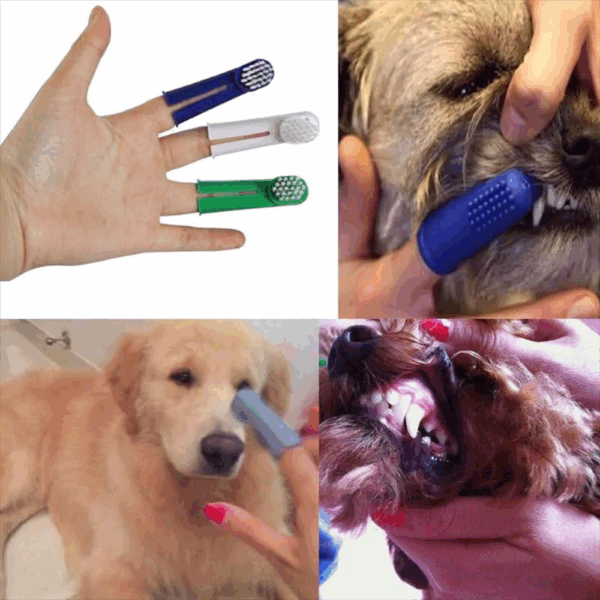 Cepillo De Dientes Dedal Para Perro