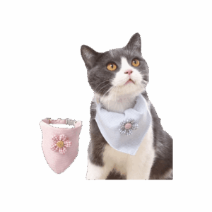 Paliacate Para Mascota