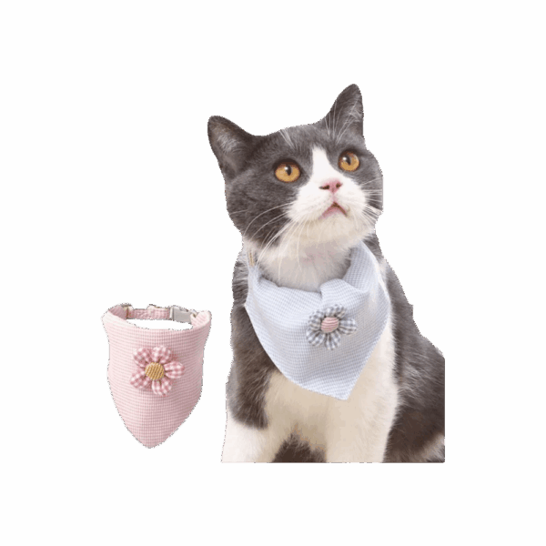 Paliacate Para Mascota