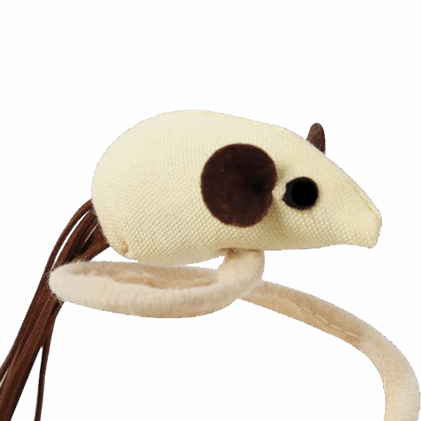 Juguete Con Resorte Espiral Para Mascota