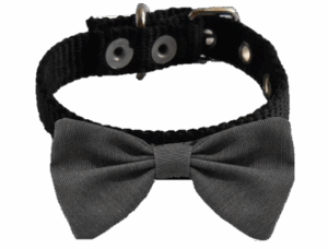 Collar Con Moño Formal