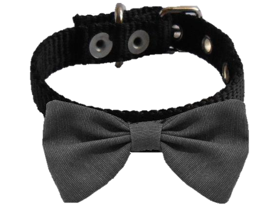Collar Con Moño Formal