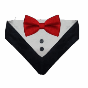 Collar De Smoking Para Perro