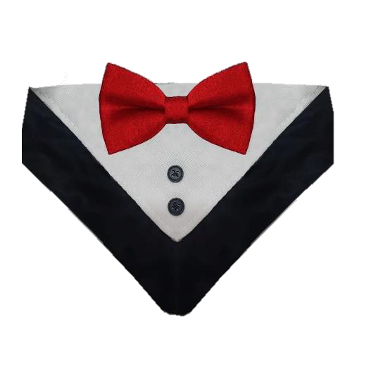 Collar De Smoking Para Perro