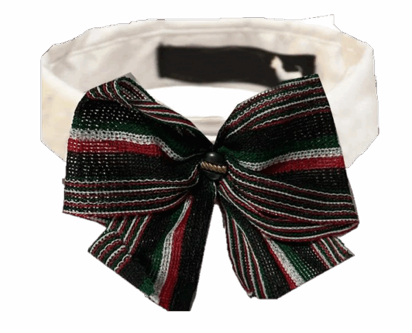 Cuello blanco con Moño Mexicano Para Mascota