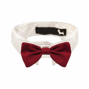 Cuello Blanco Con Moño Rojo