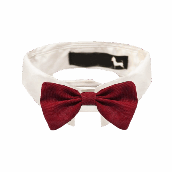 Cuello Blanco Con Moño Rojo