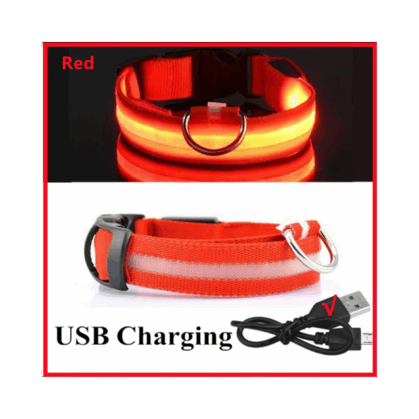 Collar De Luz LED De Batería Para mascota