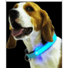 Collar De Luz LED De Batería Para mascota