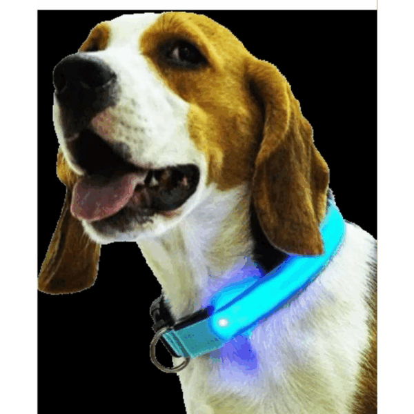 Collar De Luz LED De Batería Para mascota