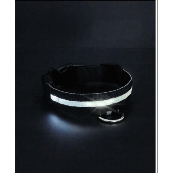Collar De Luz LED De Batería Para mascota