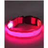 Collar De Luz LED De Batería Para mascota