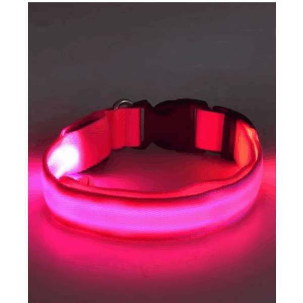 Collar De Luz LED De Batería Para mascota