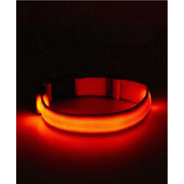 Collar De Luz LED De Batería Para mascota