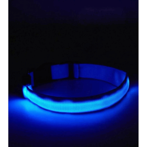 Collar De Luz LED De Batería Para mascota