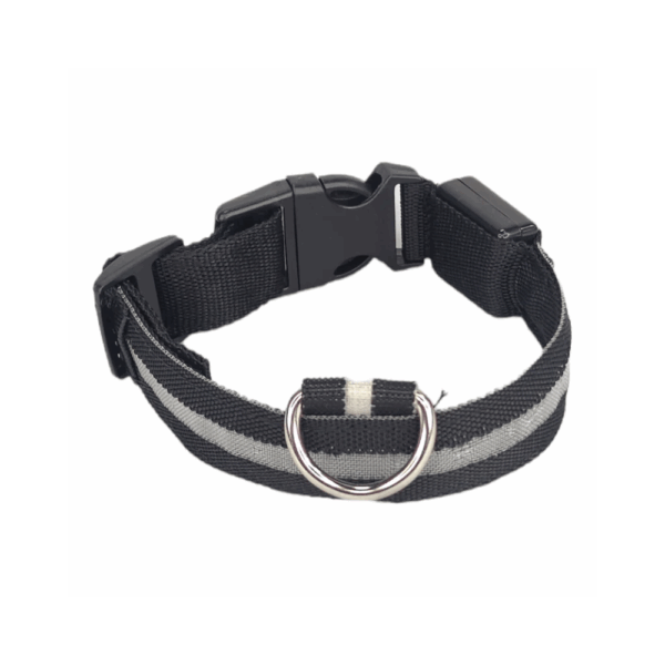 Collar De Luz LED De Batería Para mascota