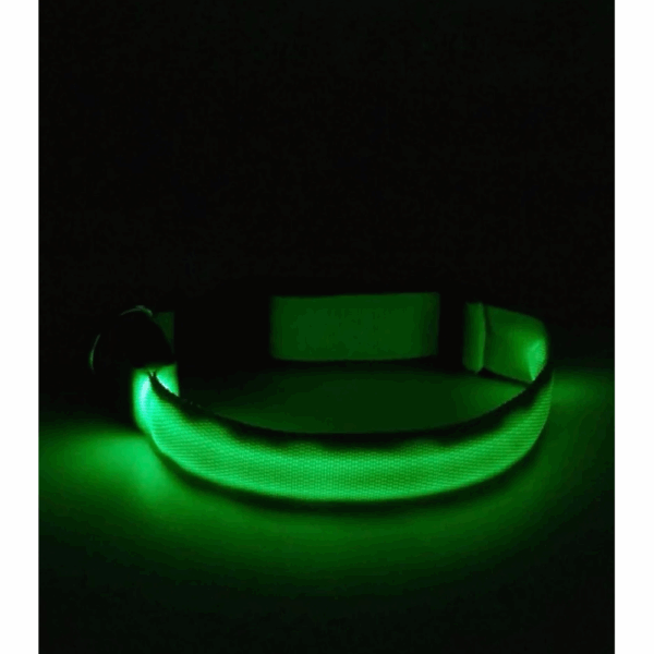 Collar De Luz LED De Batería Para mascota