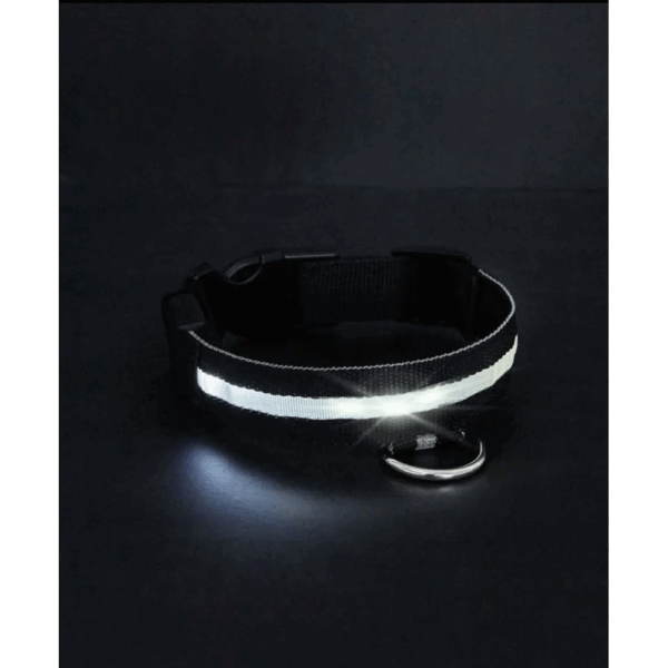 Collar De Luz LED De Batería Para mascota