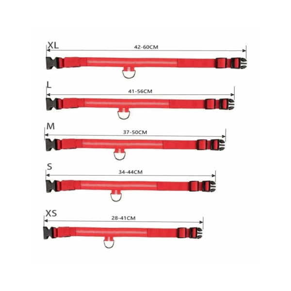 Collar De Luz LED De Batería Para mascota